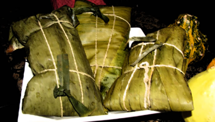 Hayacas Apureñas
